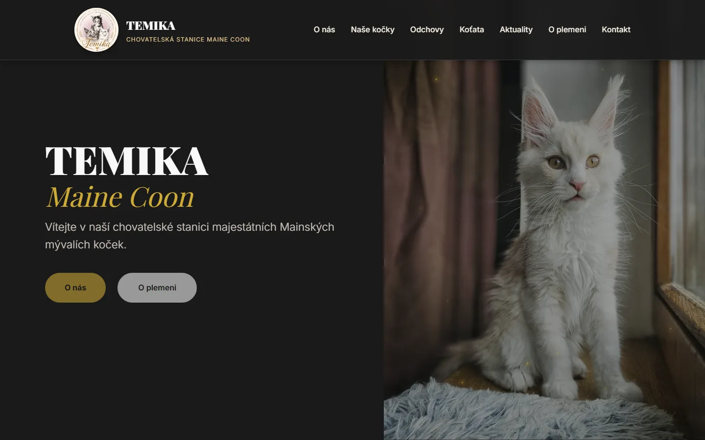 Úvodní stránka webu TEMIKA